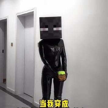 末影人的样子