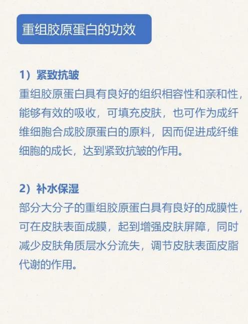 三型胶原蛋白的作用