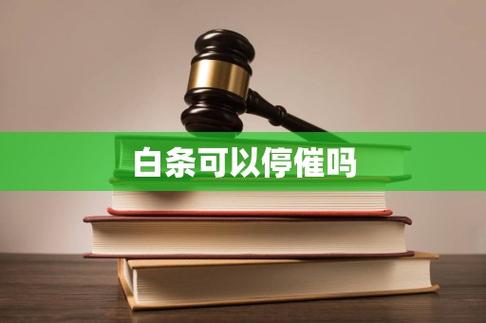 白条可以协商停止催收吗截图3