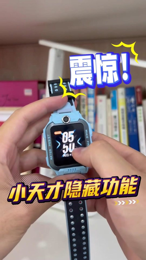 Z6A隐藏功能