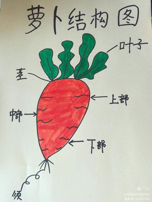 保卫萝卜波仔很忙25关攻略图解