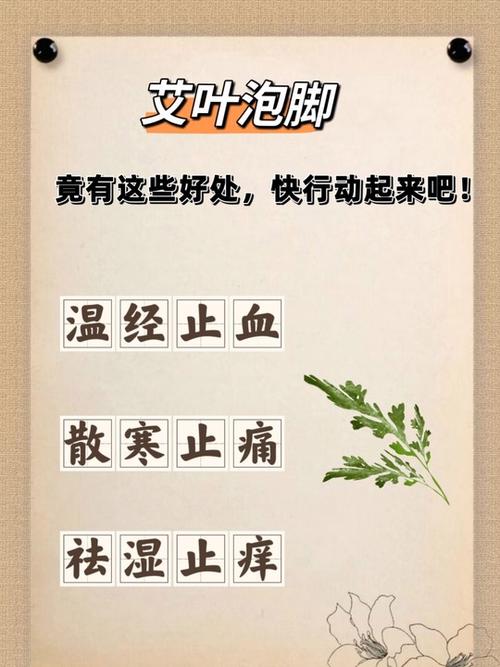 艾叶放了三年能泡脚吗