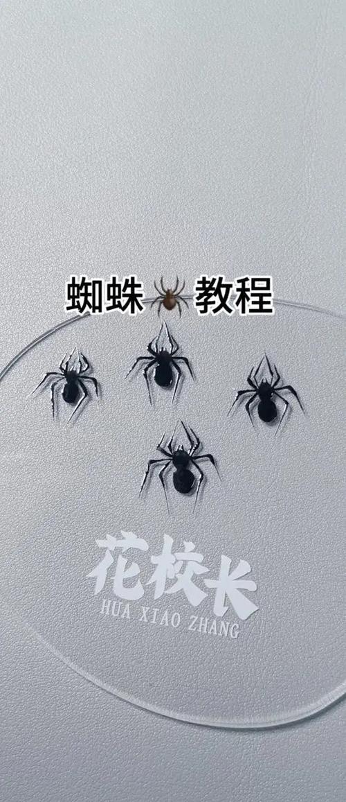 蜘蛛怎么画图片