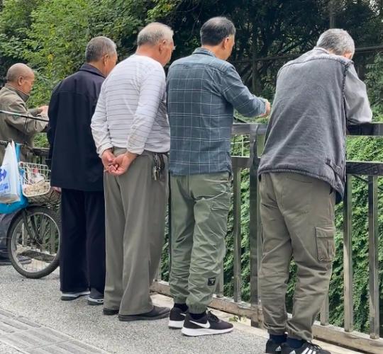 有几位大爷退休后去旅游
