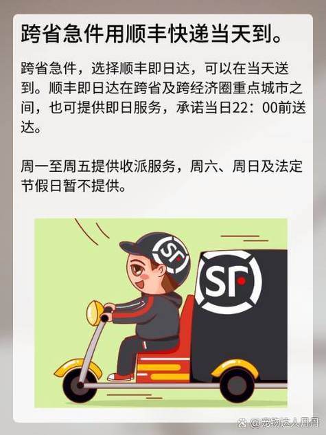 顺丰多久停运截图3