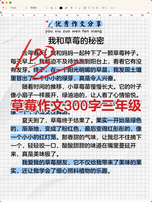 观察草莓作文300字左右三篇