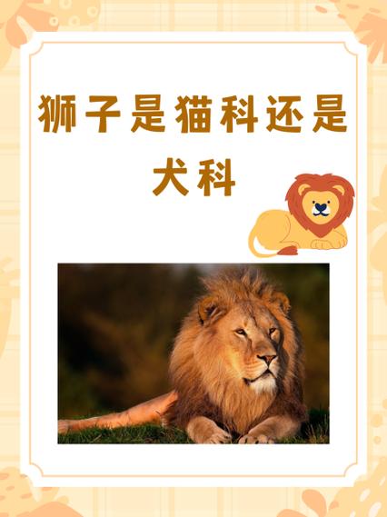 雄兽秘密截图2