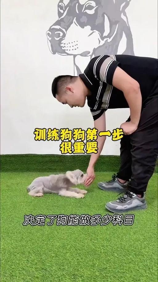 训犬的18种手势照片