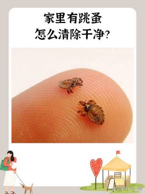 怎么清除掉落物