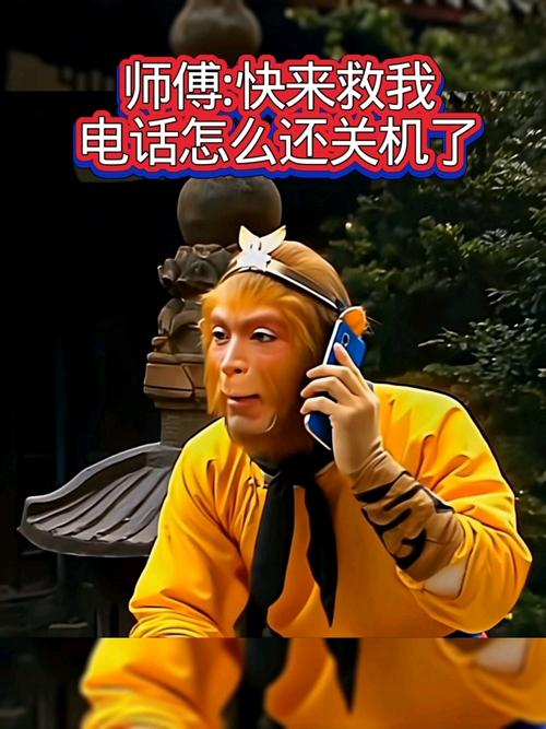 悟空快充电宝电话95539是24小时吗