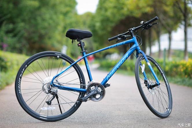公路车日行300公里截图2