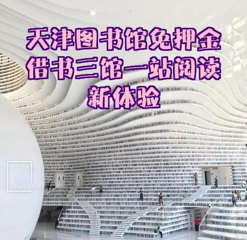 天津图书馆借书收费吗截图2