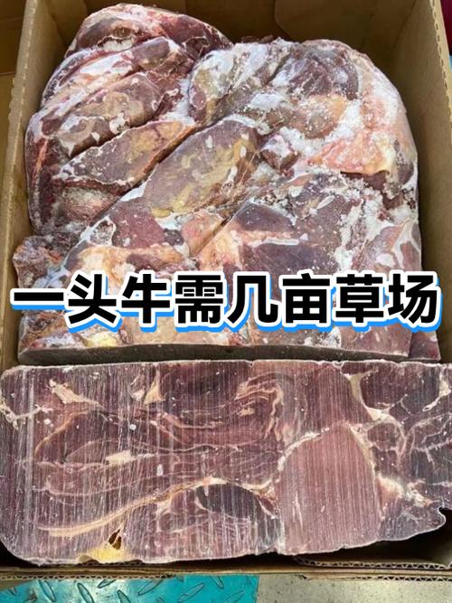 一头牛需要多少亩草场截图2