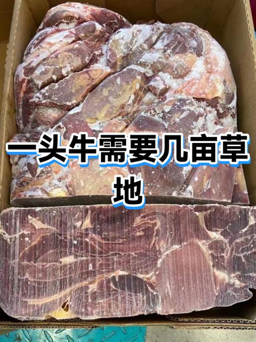 一头牛需要多少亩草场截图3