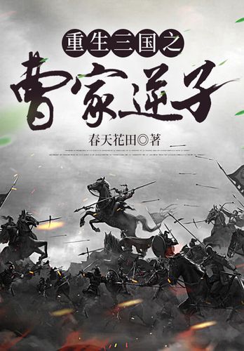 三国之曹家逆子小说下载