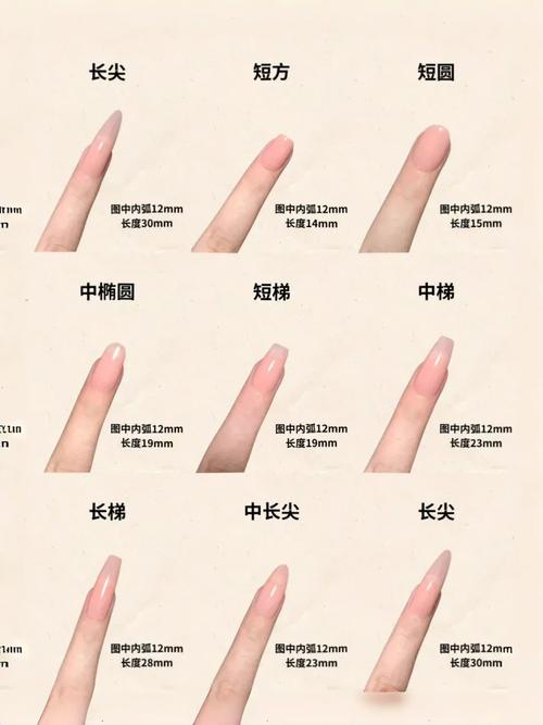 穿山甲锁头标志视频教程