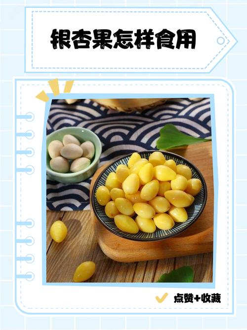 银杏果每天吃多少颗合适