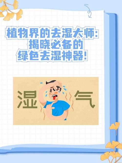 除湿机用法