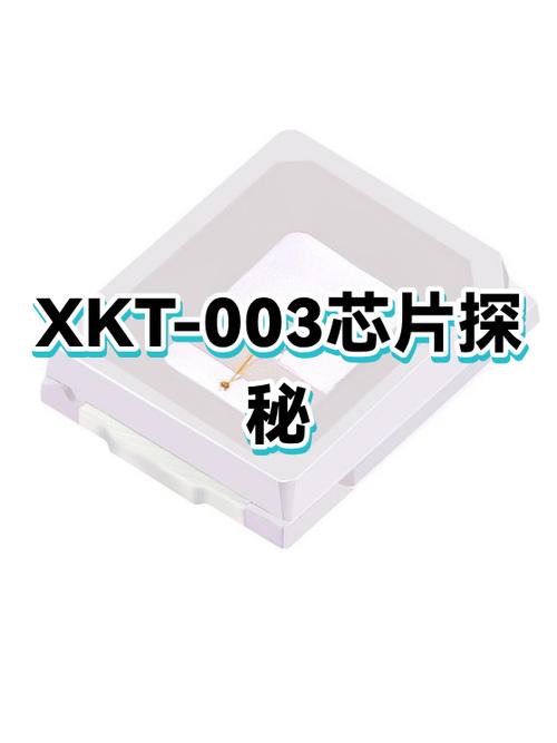 缓存文件在哪里