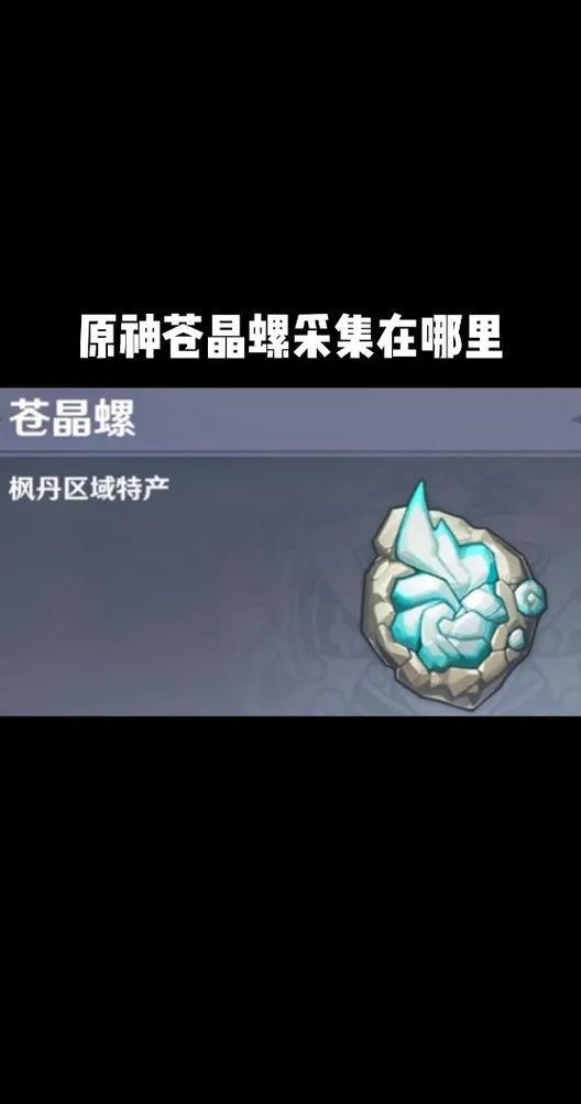 苍晶螺哪里买
