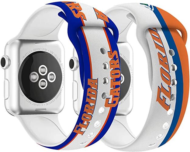 iwatch翻译离线软件截图2