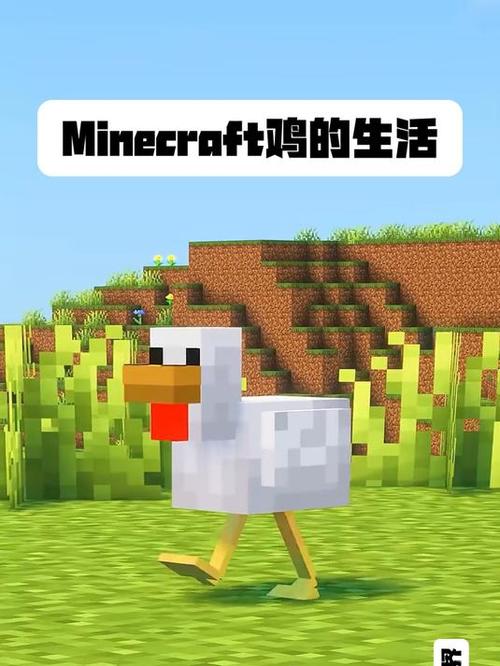我的世界鸡怎么生成截图3