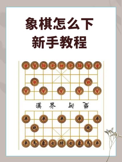中国象棋怎么登录不了