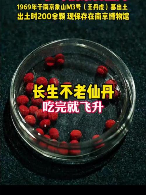 长生六道轮回经一品金丹截图2