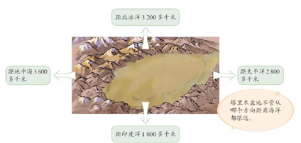 绿洲宝藏截图2