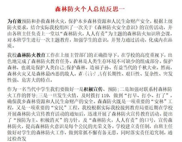 个人防火总结简短截图3