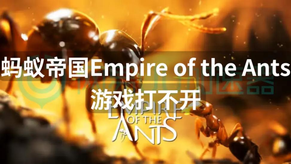 蚂蚁市场怎么打不开了