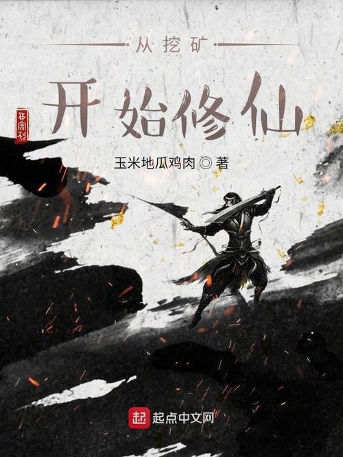 从挖矿开始修仙 小说