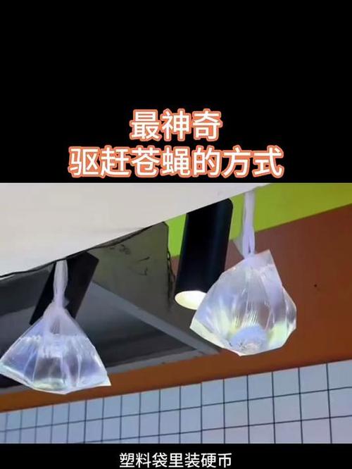驱赶苍蝇最简单实用的办法截图2