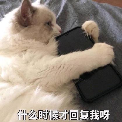 可以回我消息了吗表情包