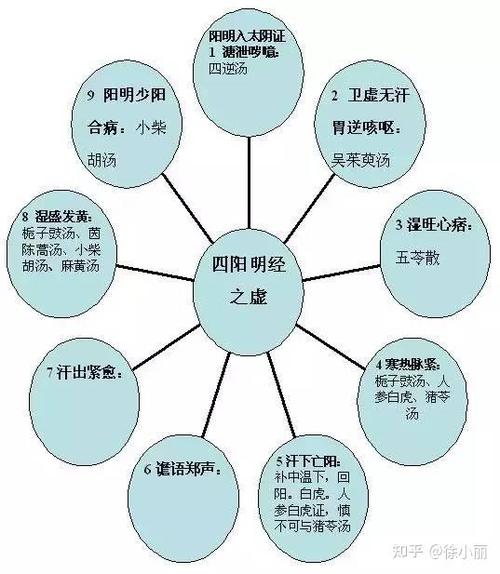 伤寒论完整版电子书