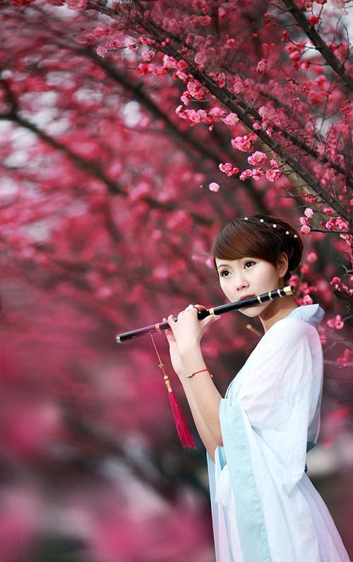 小仙儿落花网