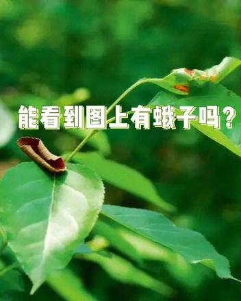 word试卷怎么隐藏答案