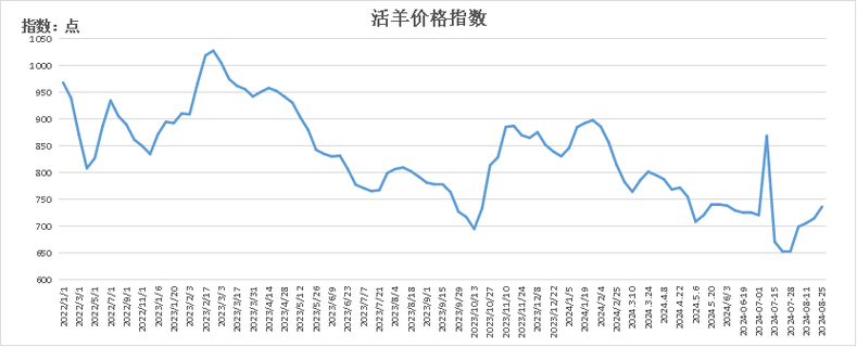 羊价走势分析未来行情预测