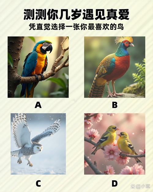 小鸟pt在哪弄卡密