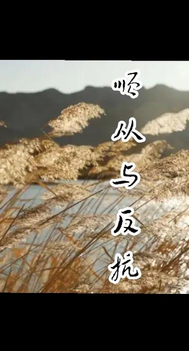 反抗反抗完美结局