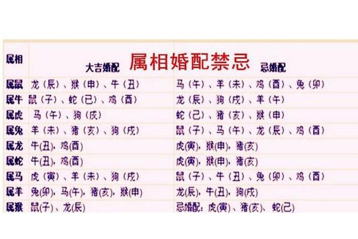 1994年属狗哪年结婚好