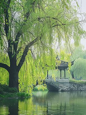 春天景象图片