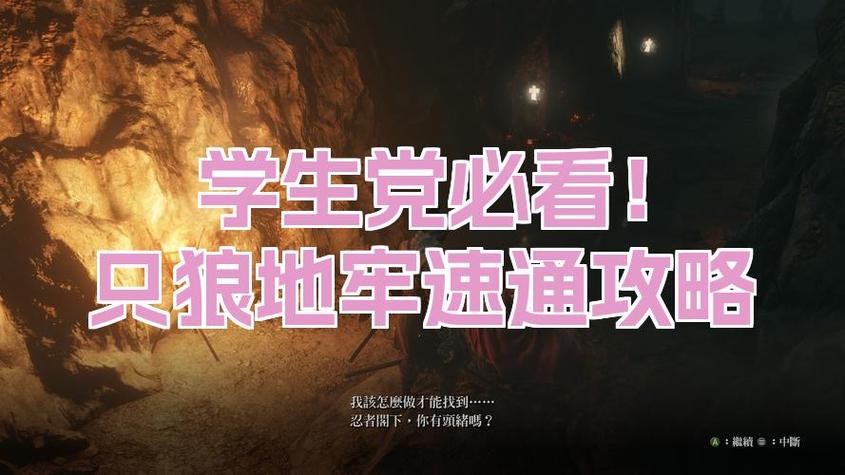 只狼一共多少关卡