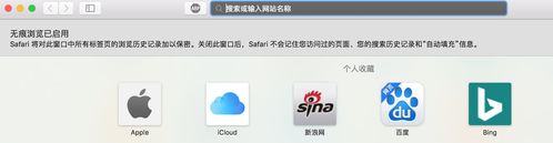 safari设置无痕浏览