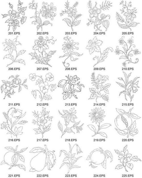 以植物为主题的组合型简笔画