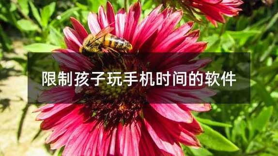 什么软件能控制孩子玩手机时间