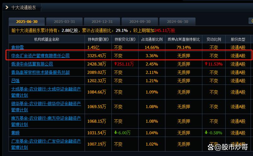 中央汇金重仓的股票