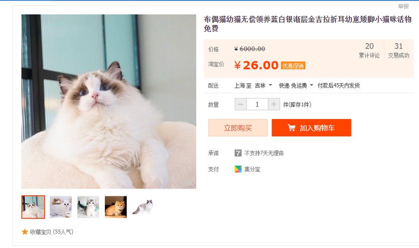 淘宝10元领养猫是真的吗