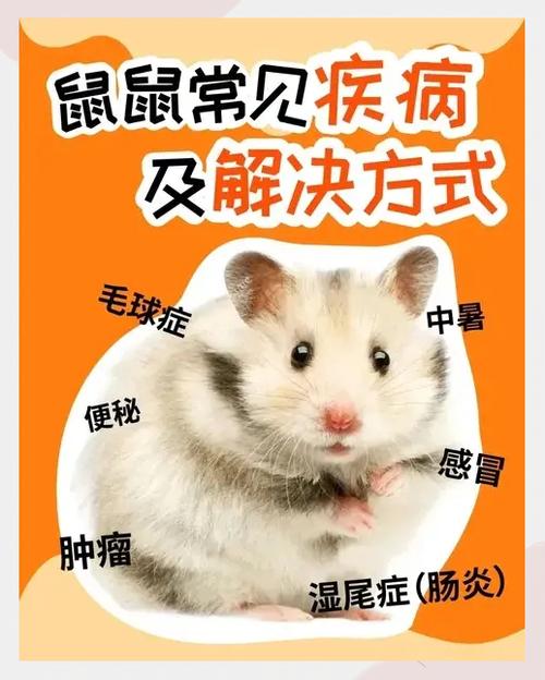 养殖仓鼠卖挣钱吗 养殖仓鼠卖挣钱吗