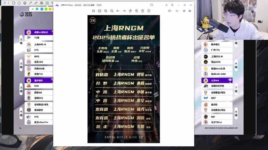 gemini分析大名单